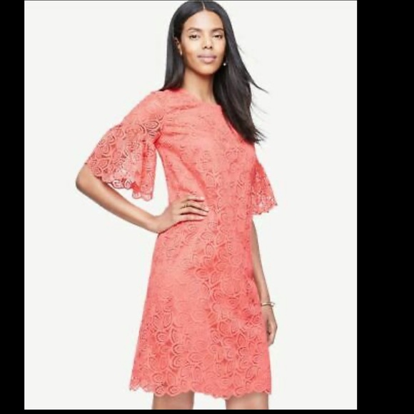 ANN TAYLOR Coral Pink Lace Ruffle Bell Sleeve Dres - Picture 14 of 14